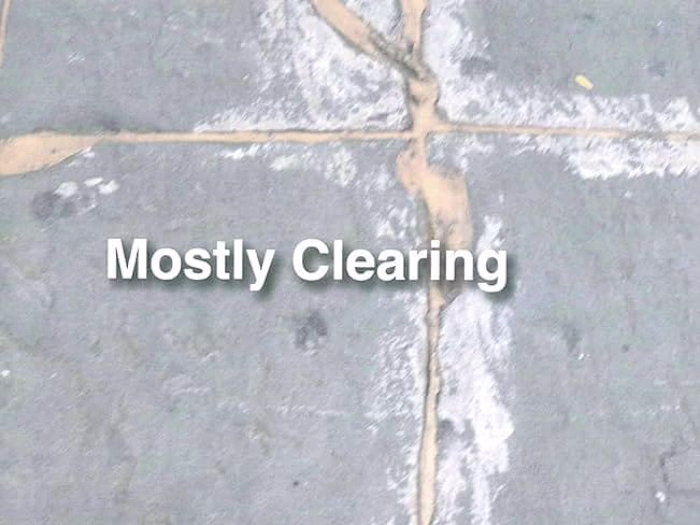 Galley Letter/Press Copy - Roof Books, Mostly Clearing