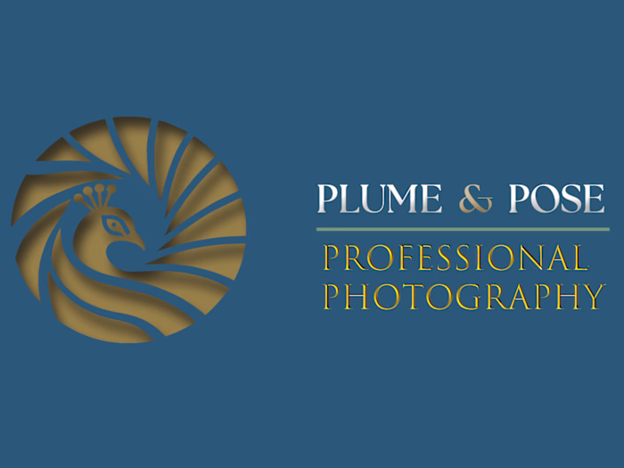 Photography Logo & Brand Packet Design