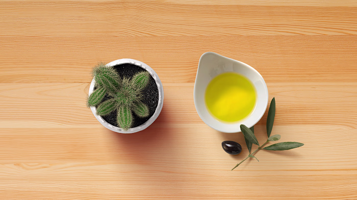 Jleo's ✕ Brand Identity