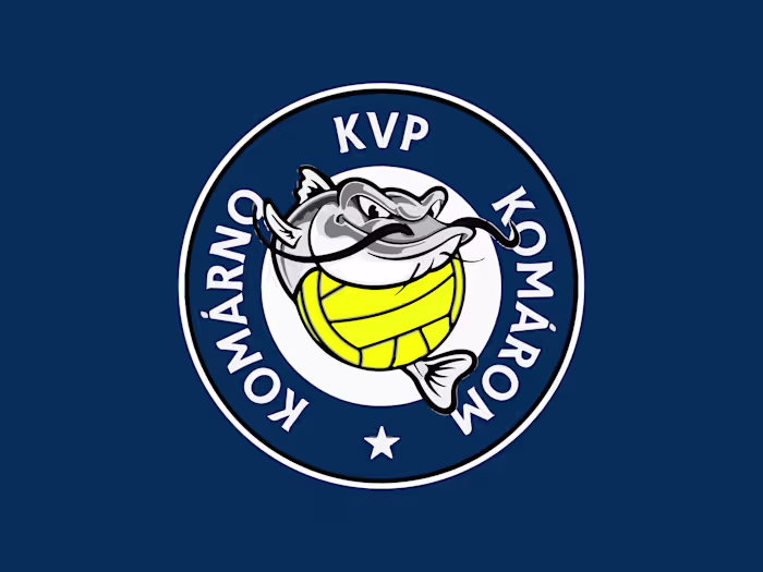 Logo and Brand Identity for Local Water Polo Team