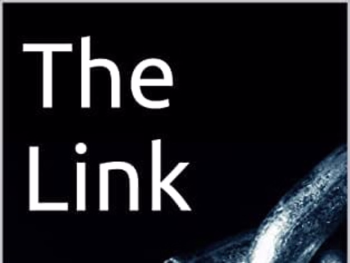 The Link (The James Brickman Series Book 1) 