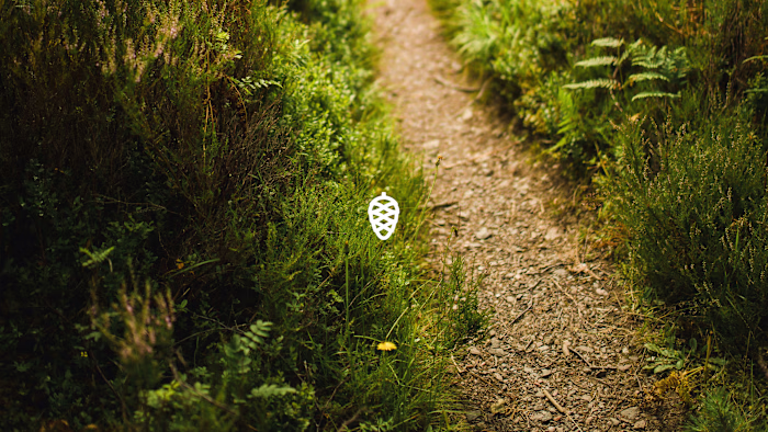 Discover Nature Award: Youth Outdoor Programme Brand Identity