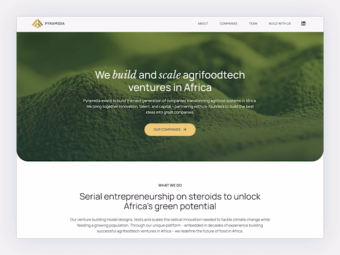 Pyramidia Ventures Website Redesign