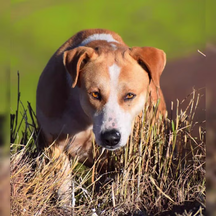 I will edit your boring photographs and give them a new life