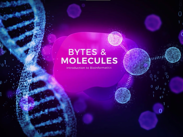 Corporate Motion Design Reel