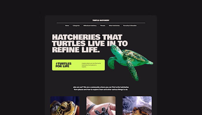 Local Turtle Hatchery Website Design
