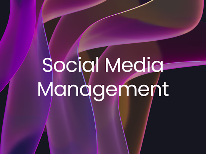 Social Media Management