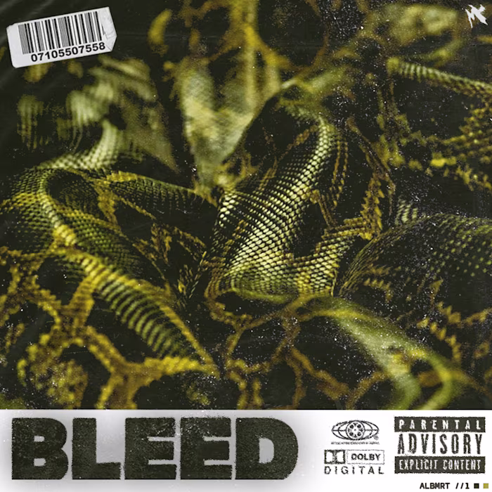 Album Art Cover #1 (Personal Project)