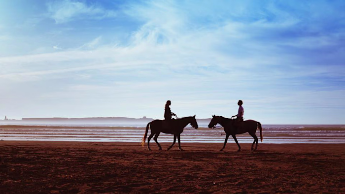 10 Toxic Persons You Should Just Get Rid Of