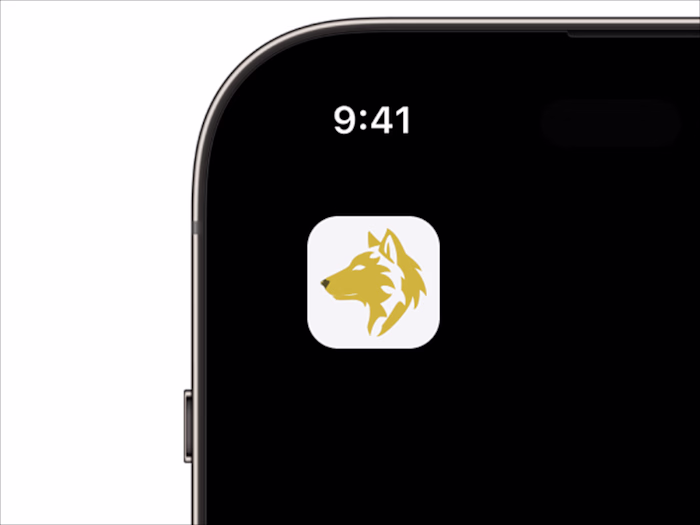 App Store Preview Screens and App Icon Design for Financial App