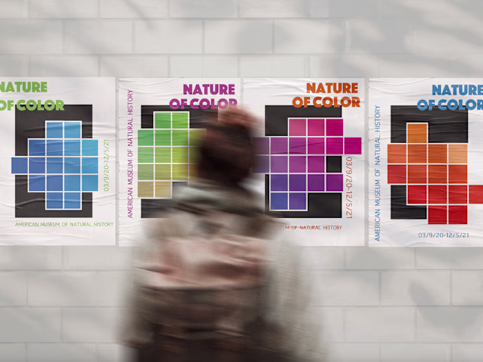 WORK | Erin Dougherty