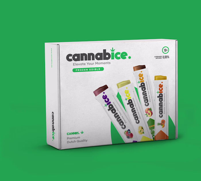 Mailer Box Packaging design Multi sachet Box packaging