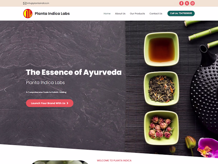 Designed and developed a modern