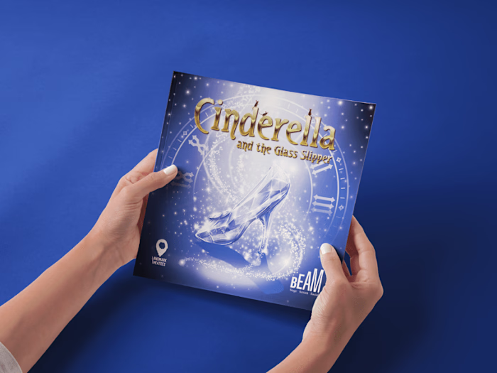 Cinderella Programme