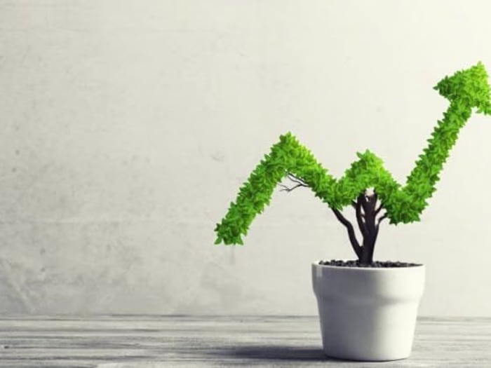 Business Development