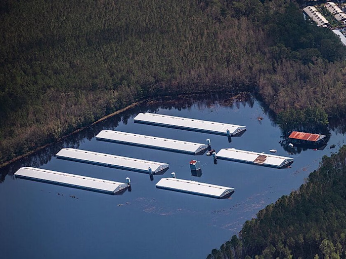 156 North Carolina Factory Farms at Risk for Flooding