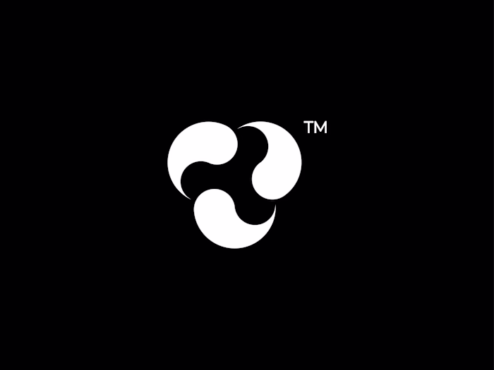 Visvibe-Brand Identity Guidelines