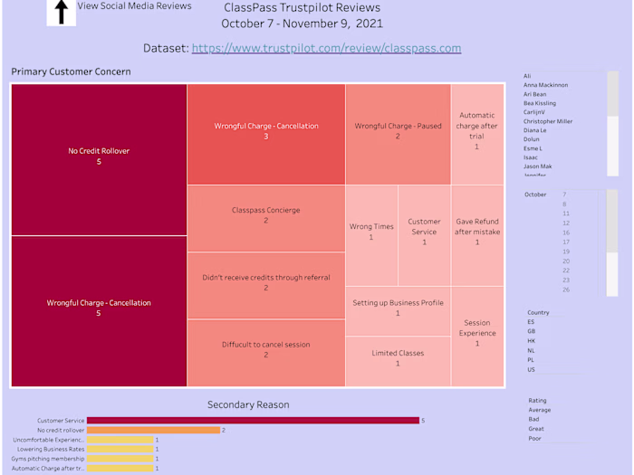 Voice of Customer Analysis
