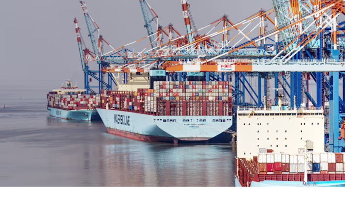 1,700-word blog for Hive: What is an EORI number? A guide