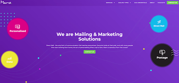 Vue.js Website Development