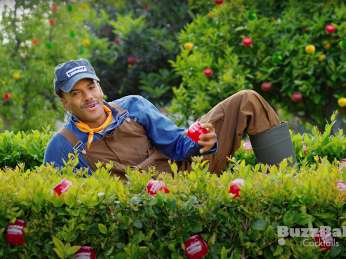 BuzzBallz Campaign | BuzzBallz Land 