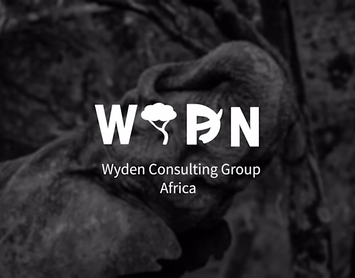Wyden Consulting Group Africa Logo - Wild Life Theme