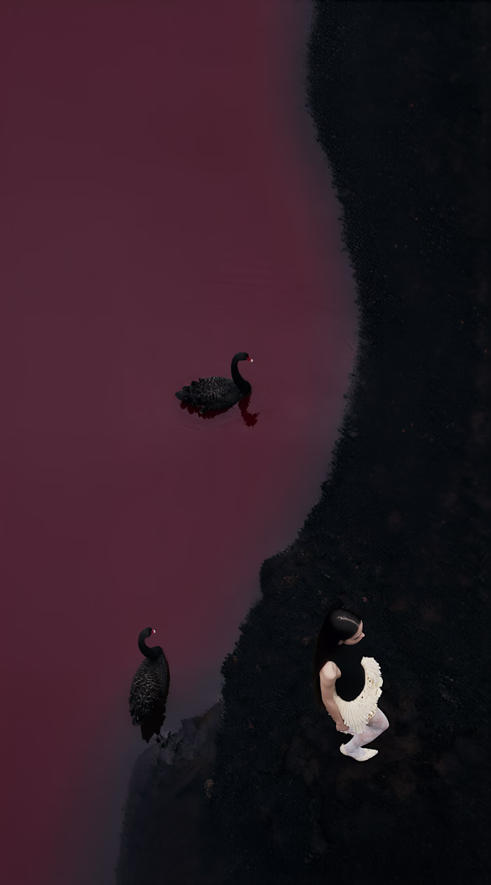 Black Swan AI Photoshoot