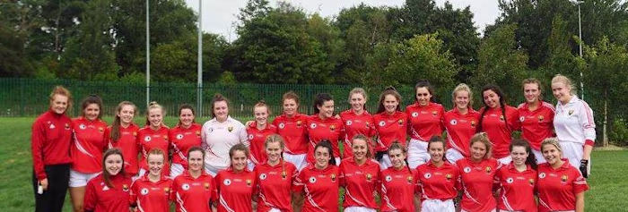 Fixed Missing Scroll Bar Issue on WordPress Website