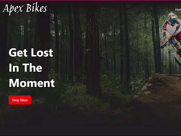 Apex Bikes - Duplicate