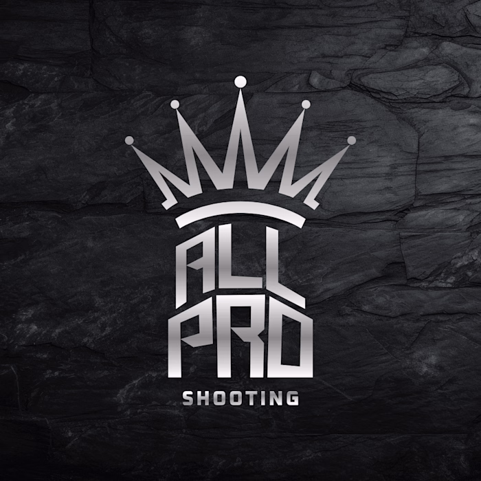 All Pro | Logo Creation