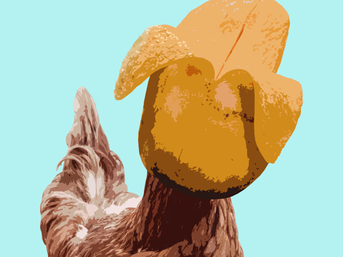 Book Cover and Interior Illustrations - A Unique Blend of Styles