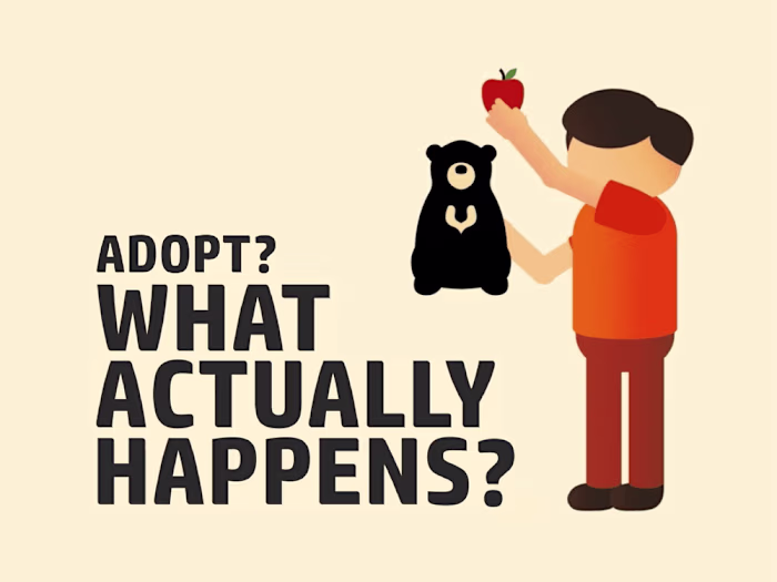 Sunbear Adoption | Infographic Video