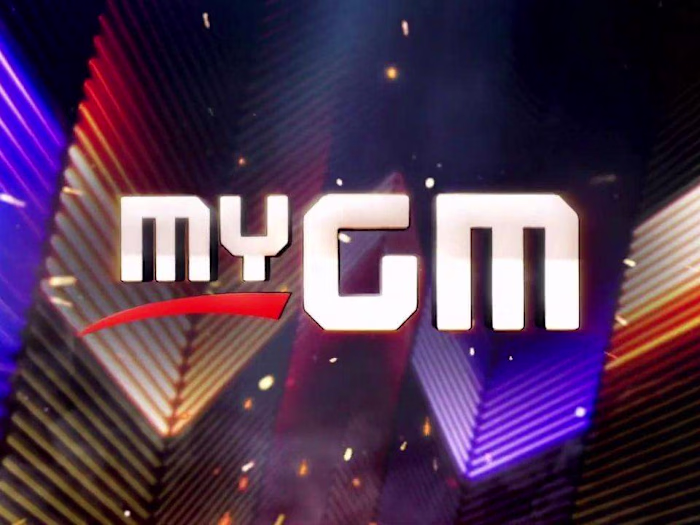 Special/Niche Interests such as WWE, MTG, Video Games