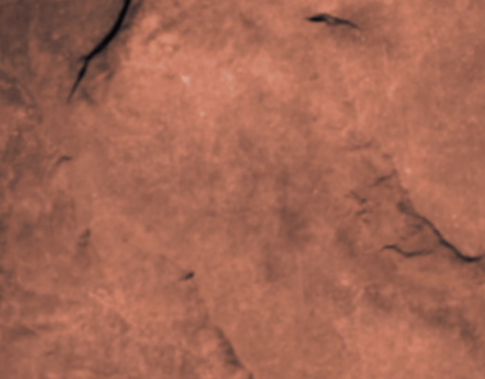 TRAP | SHORTFILM | DIRECTED BY CHINMAY 