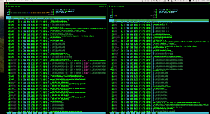 Linux Server Administrator