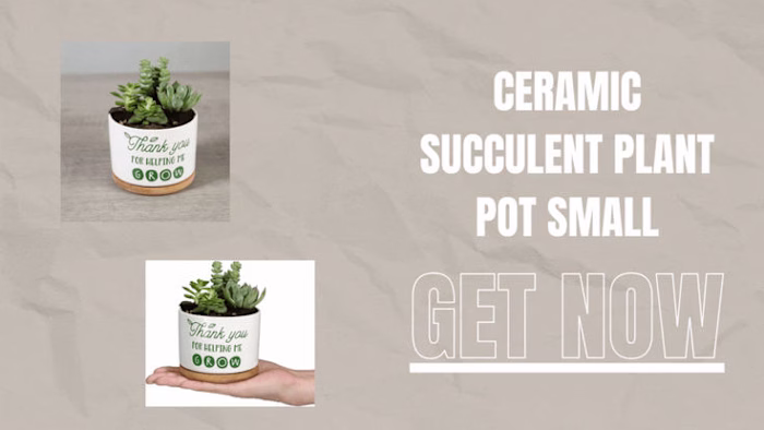 Teachers Appreciation Gift, Ceramic Succulent Plant Pot Small F…