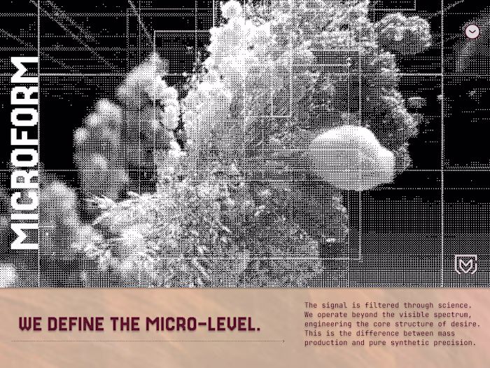 MICROFORM | The Structure Command
