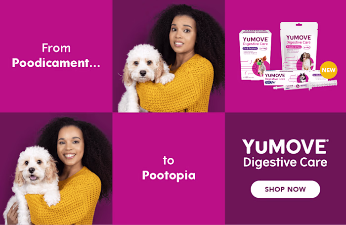 New Product Campaign