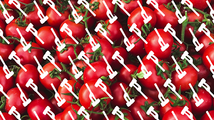 Aladdin - Restaurant Rebranding