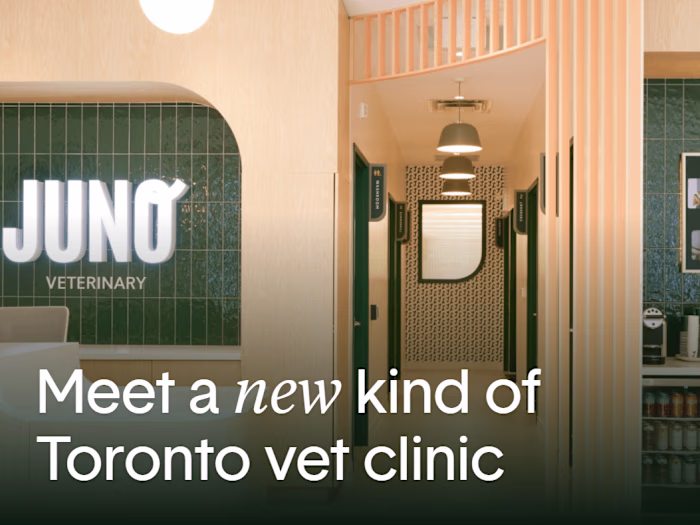 Bio Refresh, Ad Copy,  & UVP Strategy