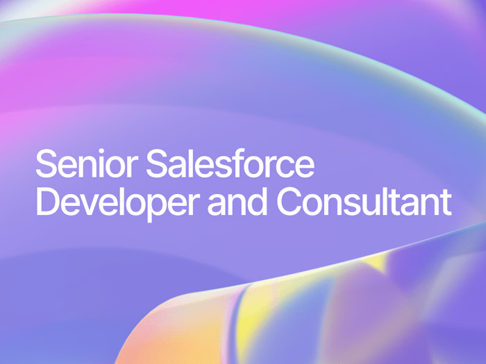 Senior Salesforce Developer and Consultant - 1 year