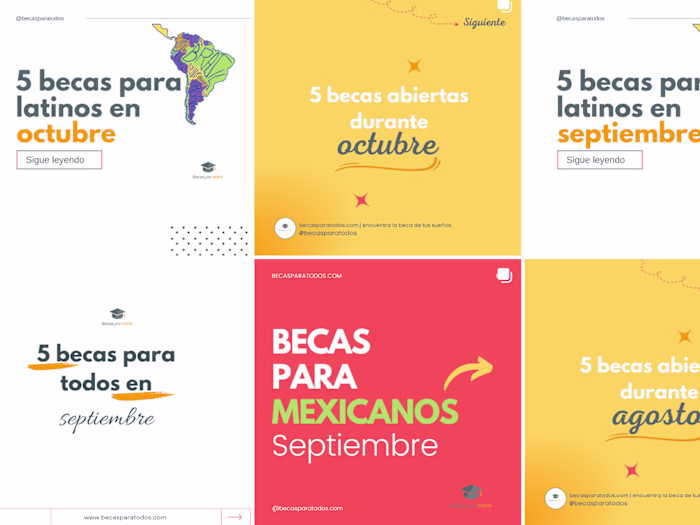 Blogger and social media content