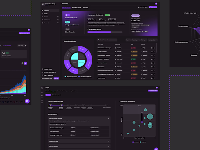 Redesigning an IP Strategy Tool That Helped Secure Funding