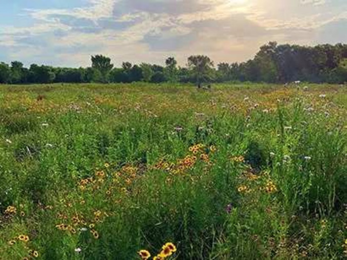 Preserving America’s Cities | We Are Parks and Recreation | Par…