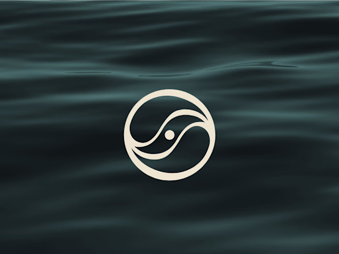 Visual Brand Kit Projeto Ondinas