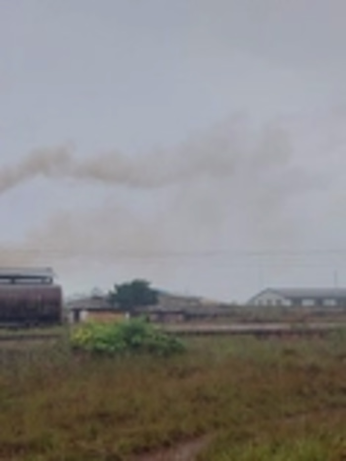 Environmental Activism and Issues