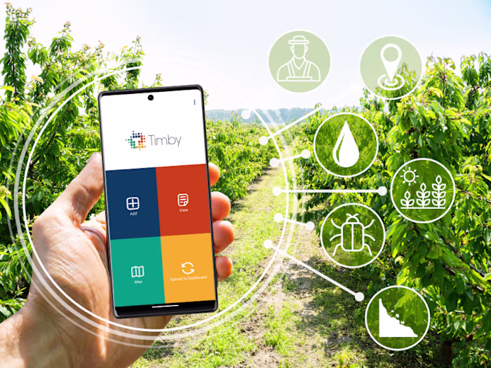 Project Management for Canadian Tech Startup