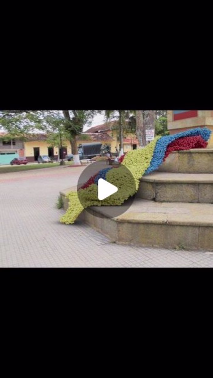 Camera tracking animation