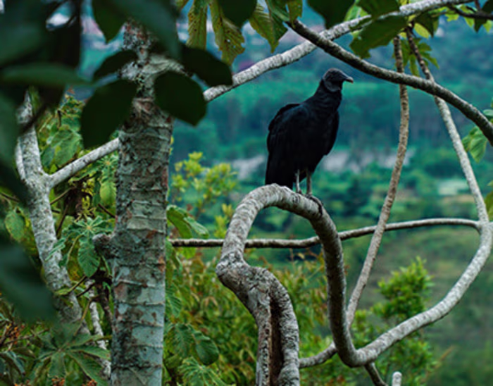 Ian Fernandez - Editorial & Personal Brand Photographer  in New…