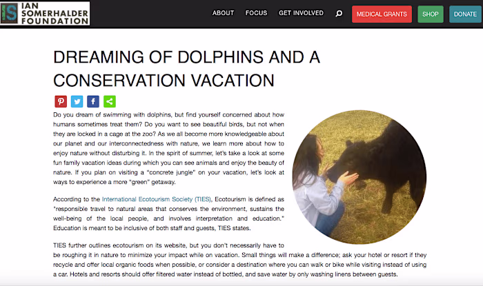 IS Foundation: Ecotourism 